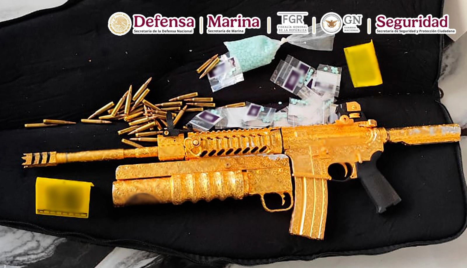 Detienen en Jalisco a mujer buscada por EE. UU.