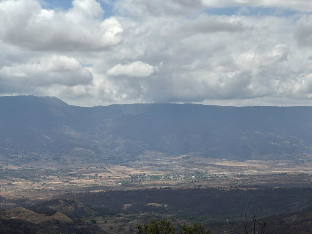 Comunidad Wixárica logra frenar tala en bosque sagrado