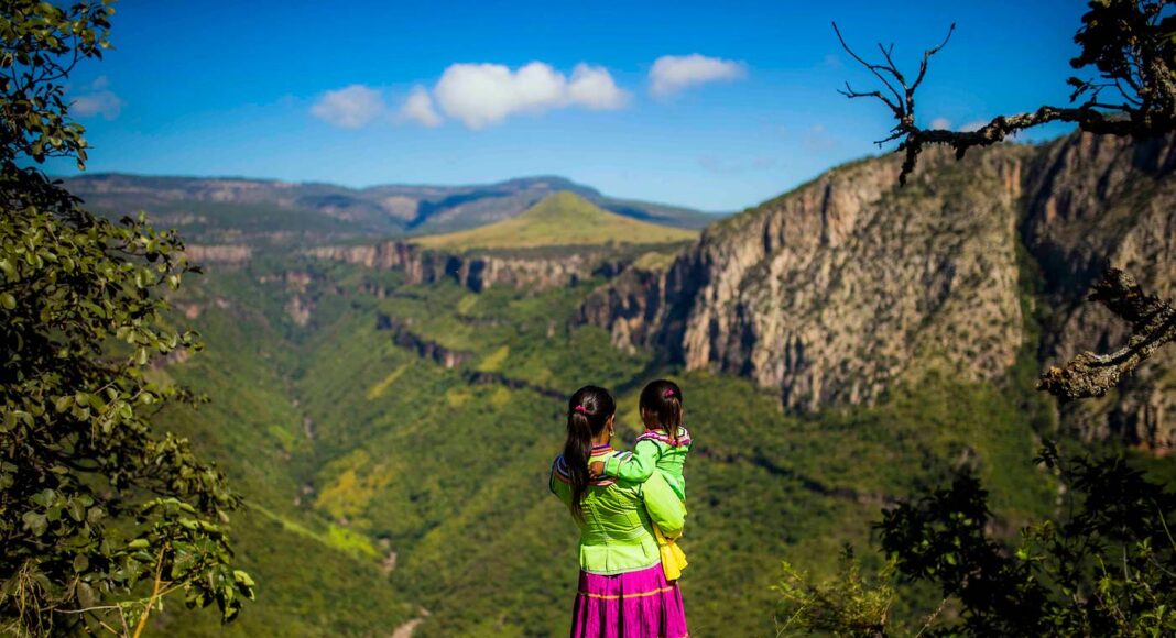Comunidad Wixárica logra frenar tala en bosque sagrado