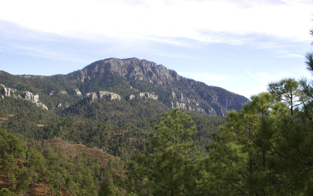 Joven indígena muere arrastrado por corriente en la Sierra Tarahumara