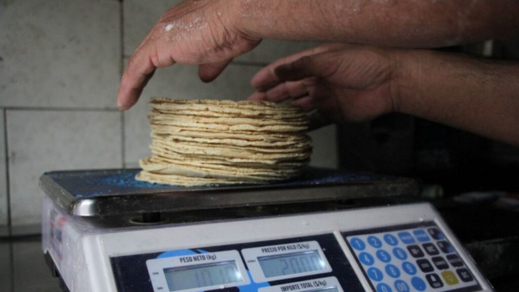 Buscan reducir 5% el precio de la tortilla: Sheinbaum