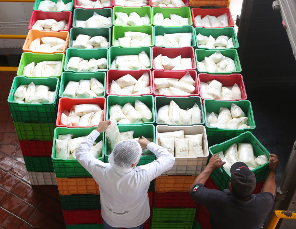 Avanza planta de Leche para el Bienestar en Campeche