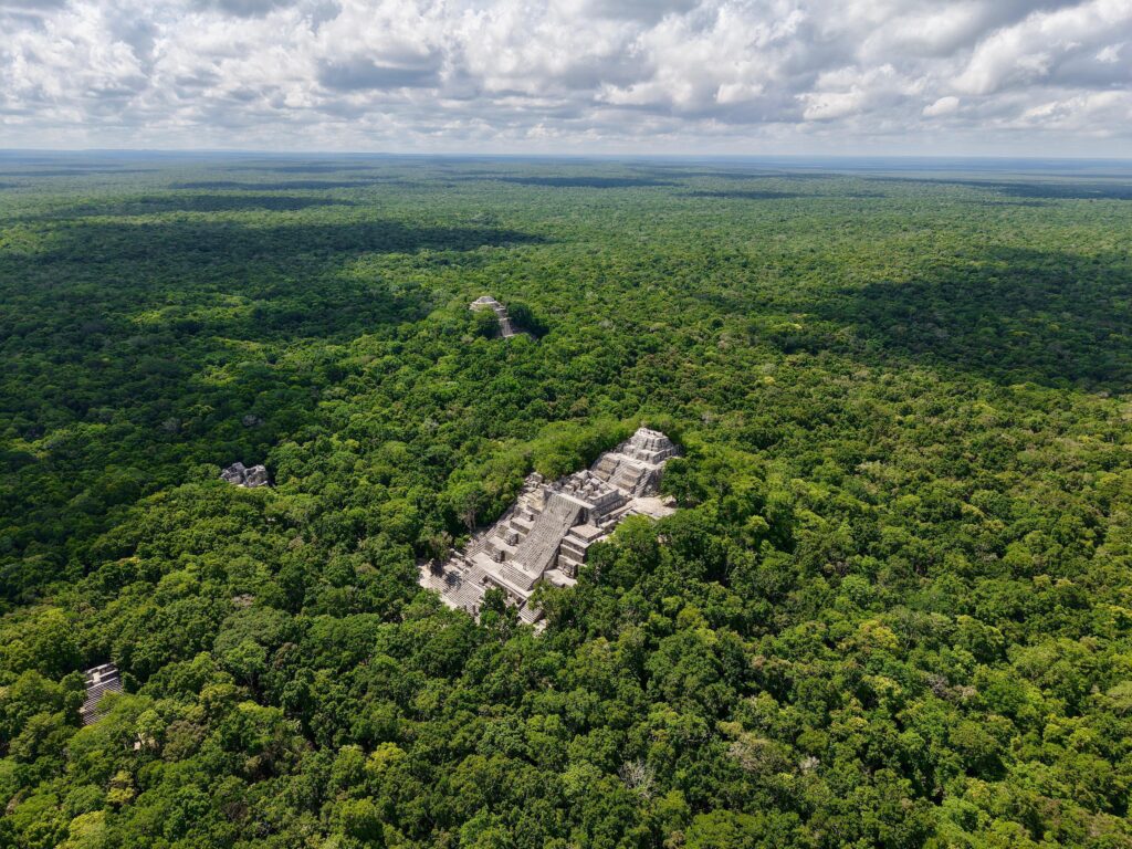 Sheinbaum destaca acuerdo histórico para proteger la Selva Maya