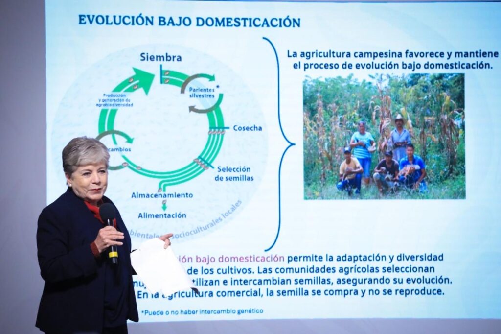 México presenta avances climáticos en la ONU