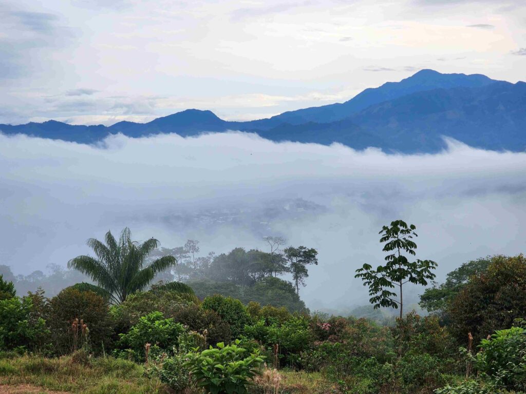 Científicos alertan que la deforestación amenaza los “ríos voladores” del Amazonas