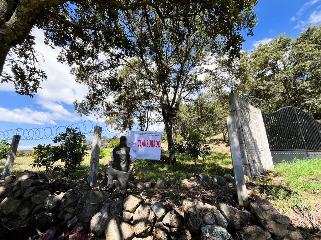 Profepa clausura huerta ilegal de aguacate en zona de la Mariposa Monarca