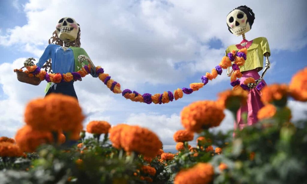CDMX inicia venta récord de flor de cempasúchil