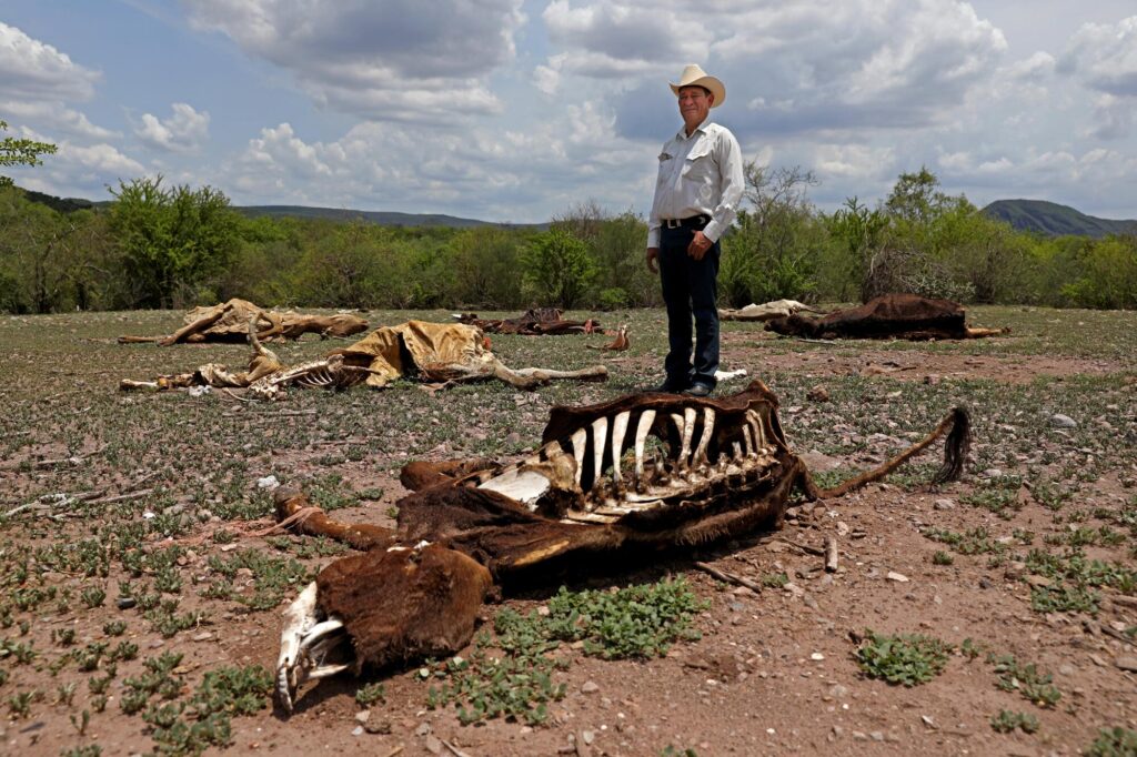 Ocho de cada diez mexicanos perciben efectos del cambio climático