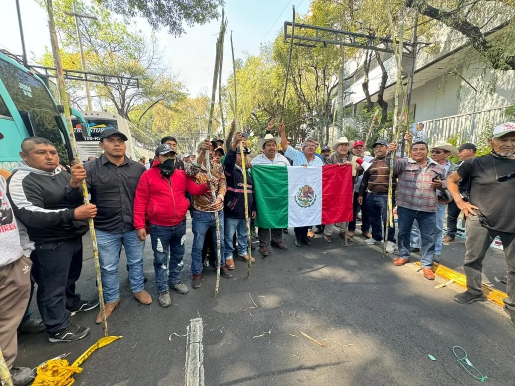 Cañeros buscan plan de rescate ante pérdidas por importaciones