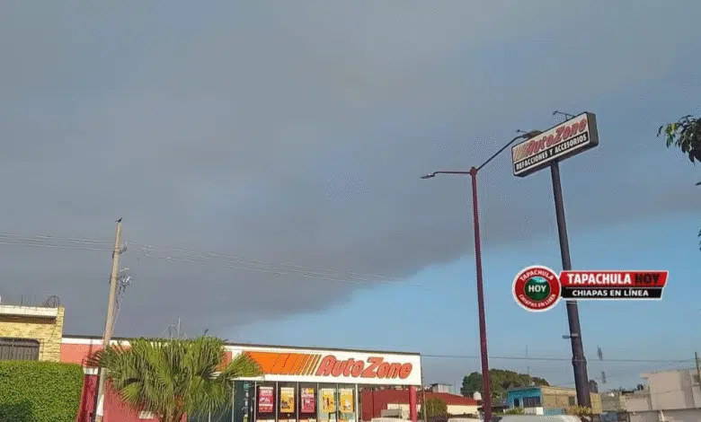 Incendio provocado consume basurero de Tapachula; activan operativo