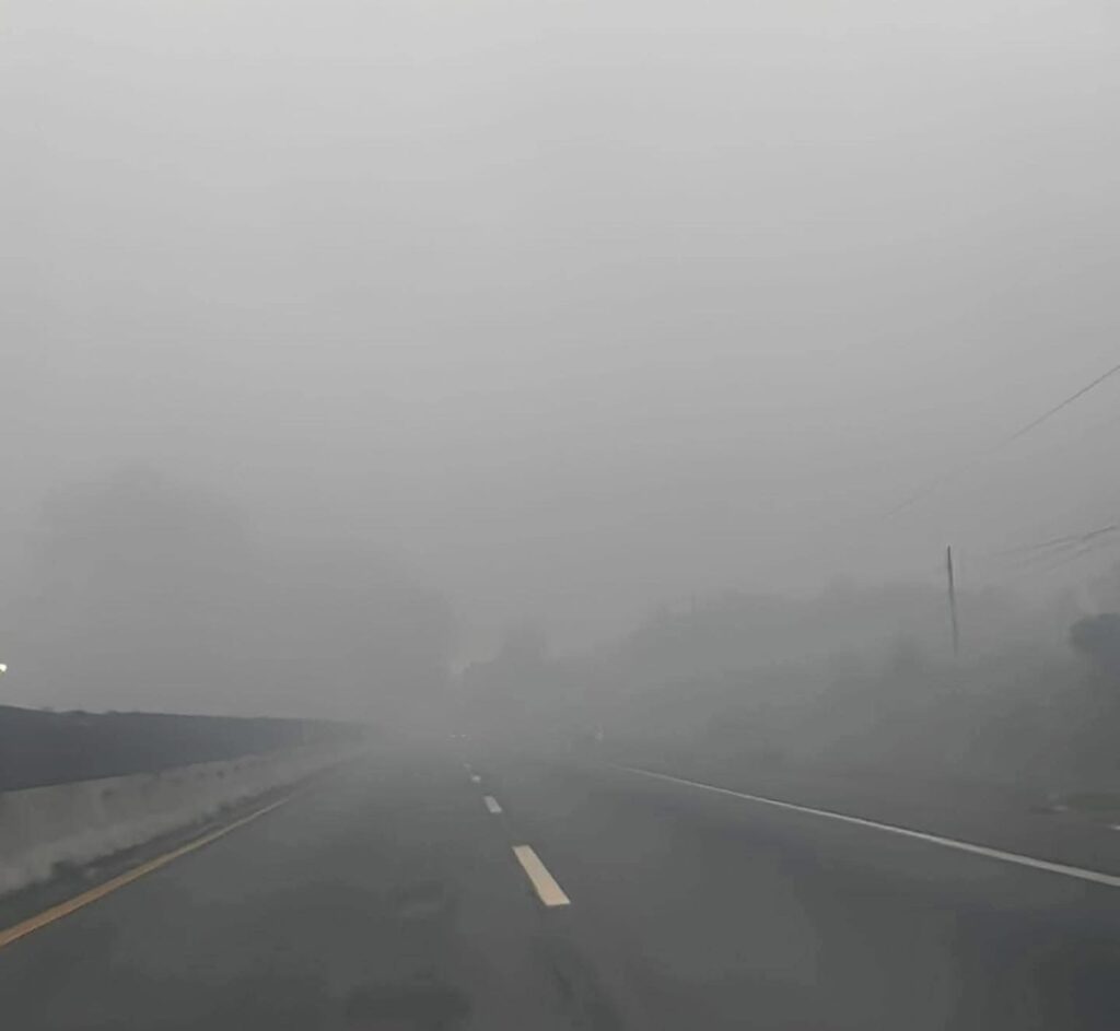 Incendio provocado consume basurero de Tapachula; activan operativo