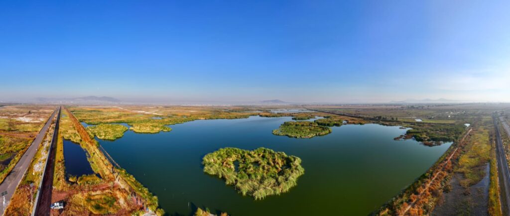 Crean humedal en el Caracol para rescatar el Lago de Texcoco