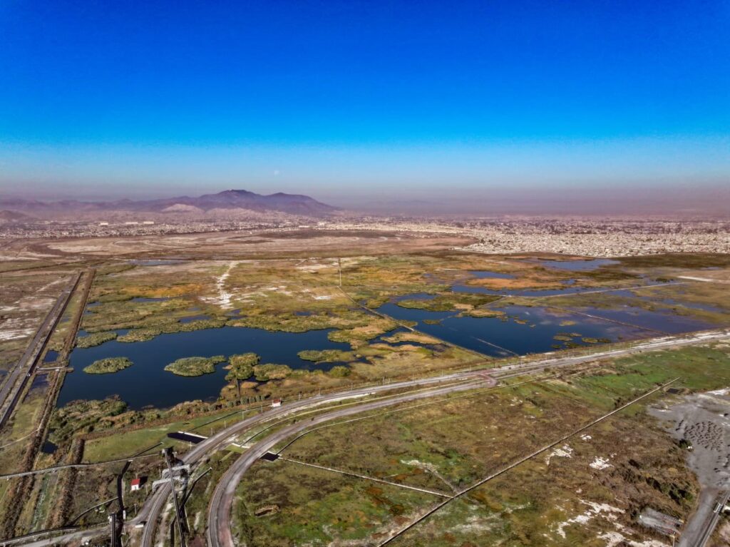 Crean humedal en el Caracol para rescatar el Lago de Texcoco