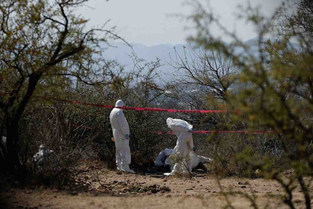 Identifican 12 víctimas en fosas clandestinas del Valle de Mexicali