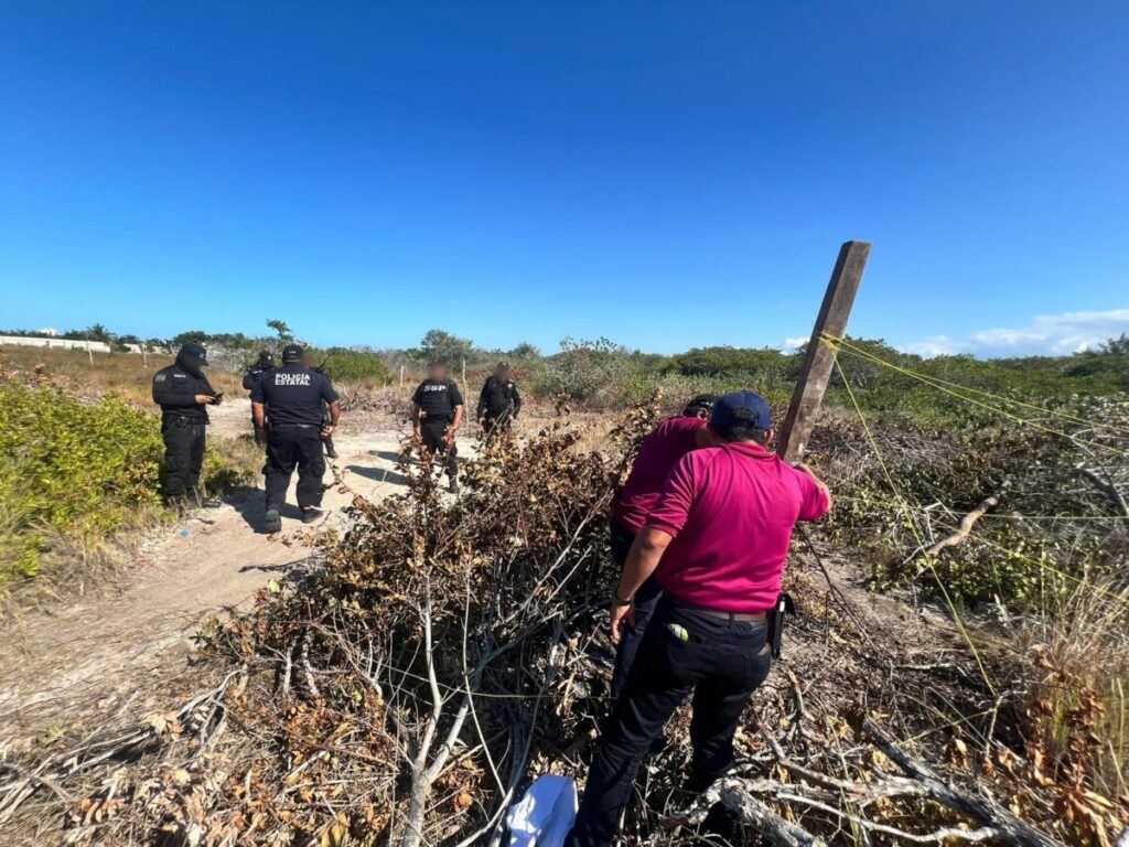 Profepa clausura desmonte ilegal de manglar en Chelem