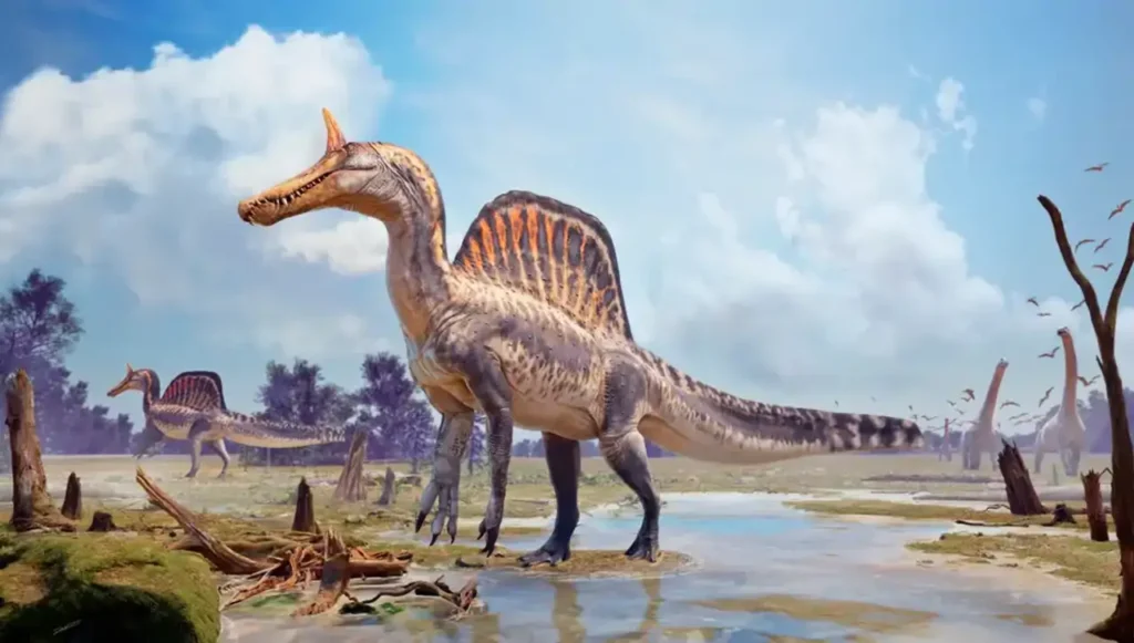 Nuevo Spinosaurus revela que no era totalmente acuático