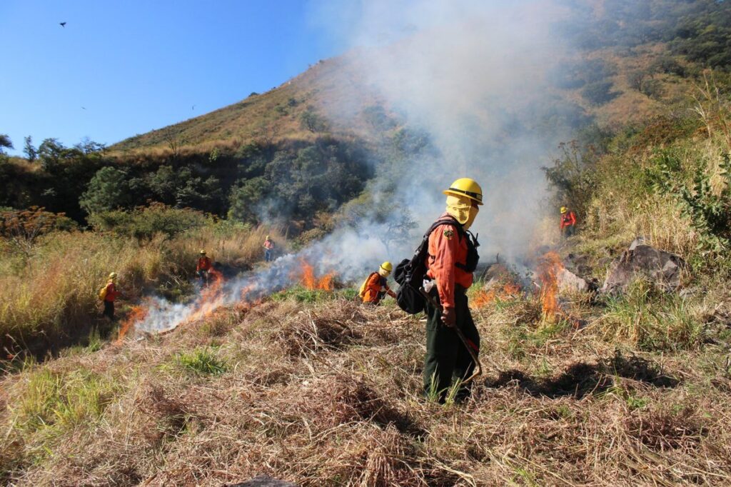 Combaten incendio en cerro de San Juan en Nayarit