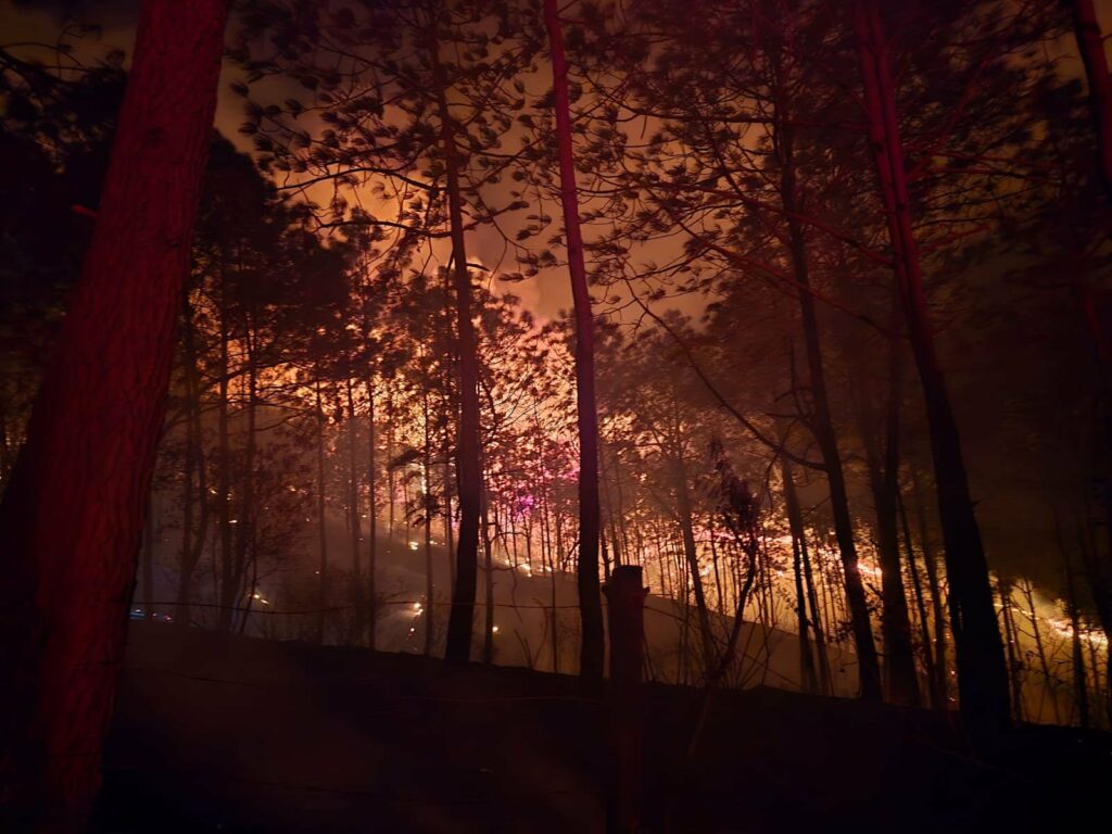 Mueren brigadistas en incendio forestal en Michoacán