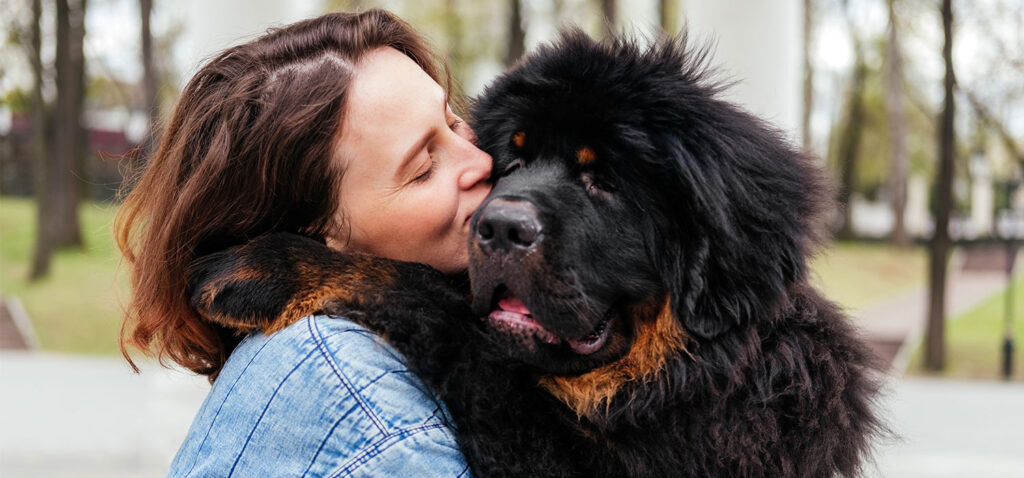 Perros y humanos: una relación de 16 mil años