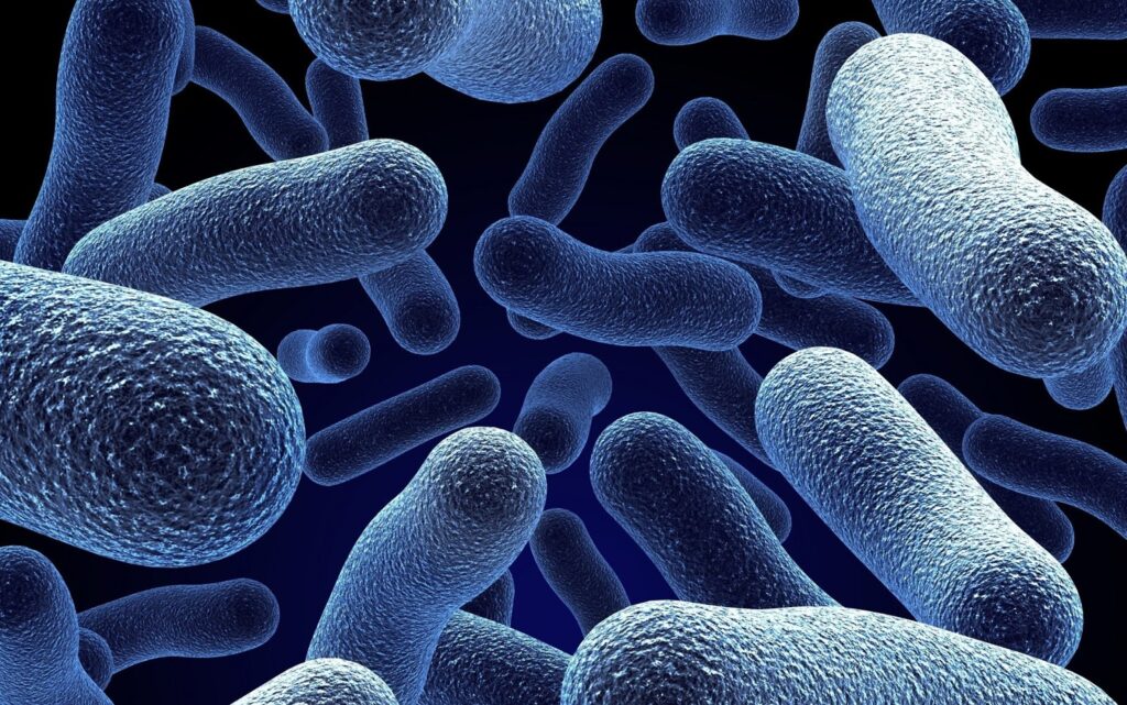Nueva terapia con bacterias busca combatir el cáncer