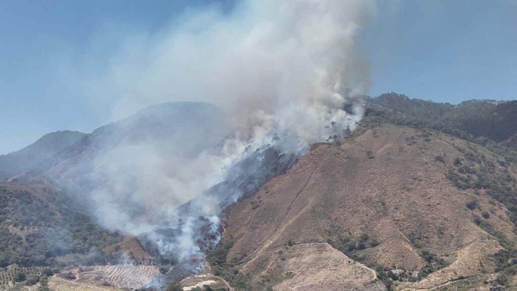 Combaten incendio en cerro de San Juan en Nayarit