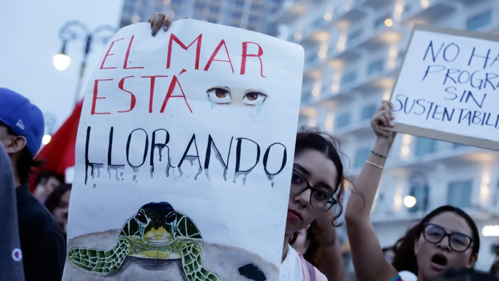 Ambientalistas exigen cancelar proyecto en Mahahual