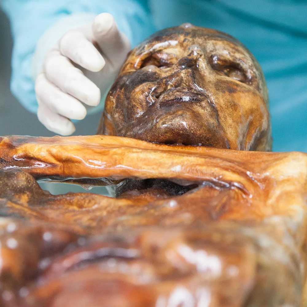 Científicos hacen pan con levadura hallada en Ötzi