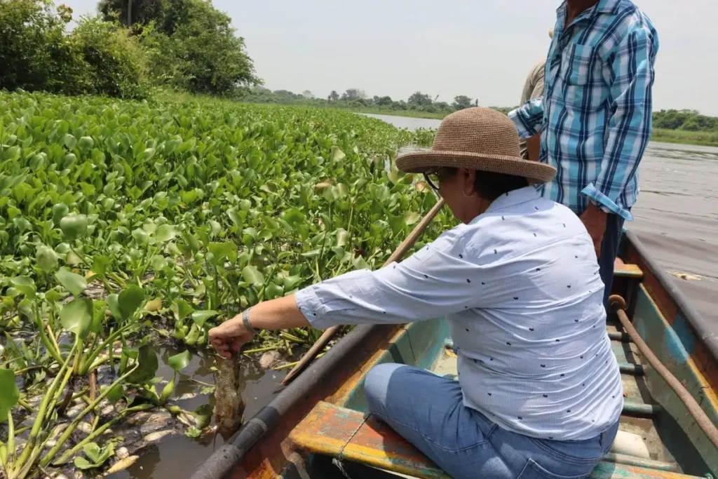 Pescadores alertan por daño ambiental en la Cuenca del Papaloapan
