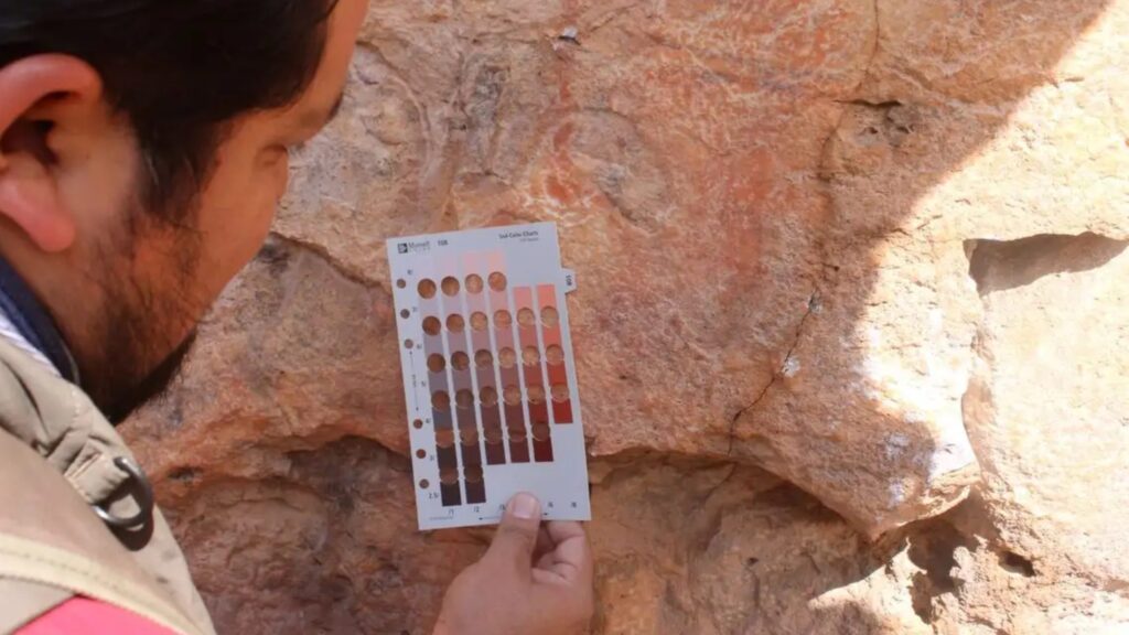 Descubren ocho sitios de arte rupestre en Zacatecas