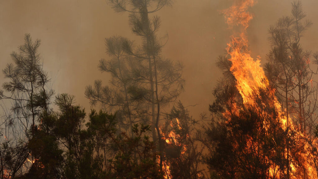 Incendios amenazan Burdeos y dejan miles de evacuados
