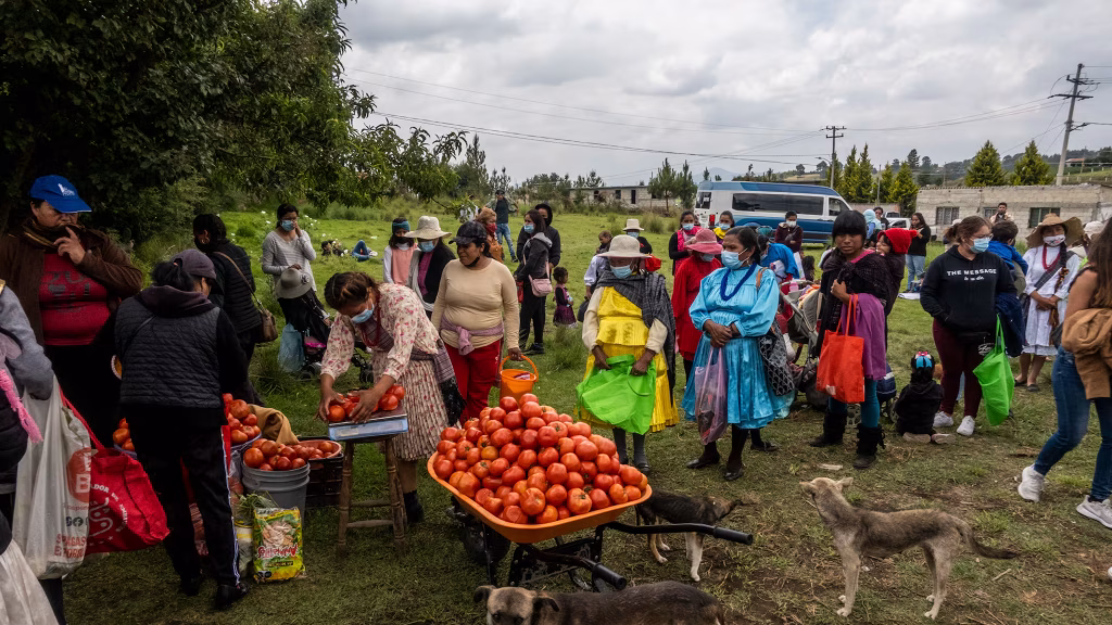 Sheinbaum: 21.6 millones aún enfrentan inseguridad alimentaria