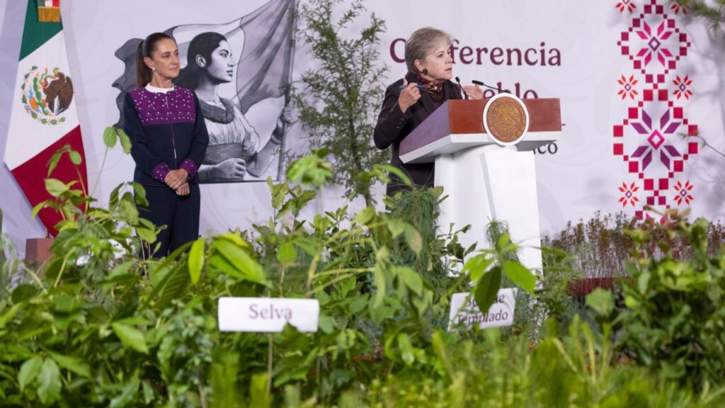 Sheinbaum lanzará Jornada Nacional de Reforestación