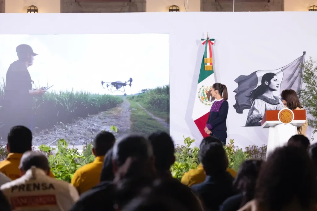Sheinbaum lanzará Jornada Nacional de Reforestación